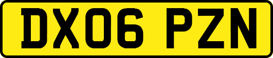 DX06PZN