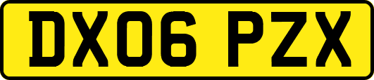 DX06PZX