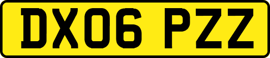 DX06PZZ