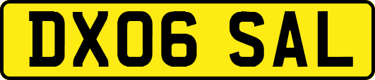 DX06SAL