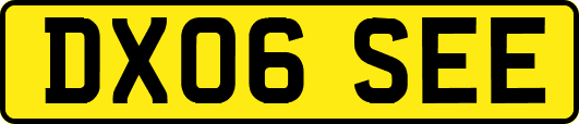 DX06SEE
