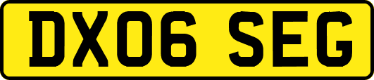 DX06SEG