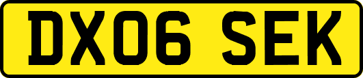 DX06SEK