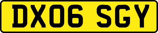 DX06SGY