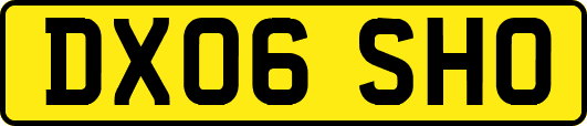 DX06SHO