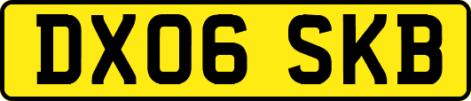 DX06SKB