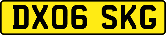 DX06SKG