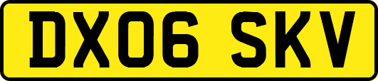 DX06SKV
