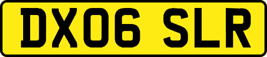 DX06SLR