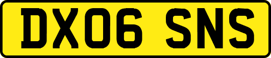 DX06SNS
