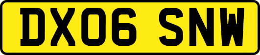 DX06SNW