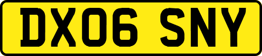 DX06SNY