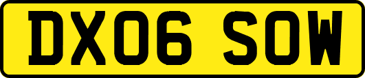 DX06SOW