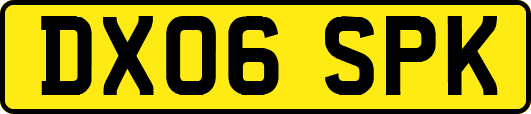 DX06SPK
