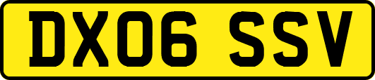 DX06SSV