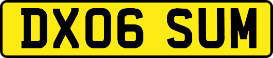 DX06SUM