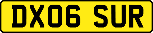 DX06SUR