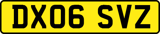 DX06SVZ