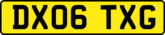 DX06TXG