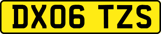 DX06TZS