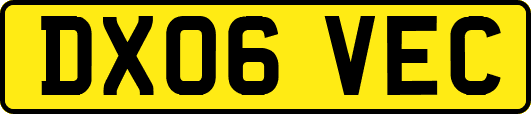 DX06VEC
