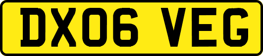 DX06VEG