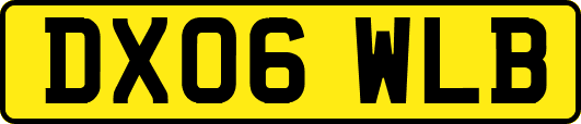 DX06WLB