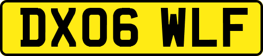 DX06WLF