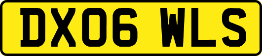 DX06WLS