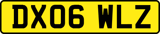DX06WLZ