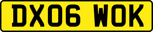 DX06WOK