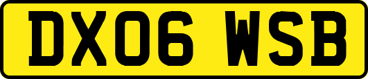 DX06WSB