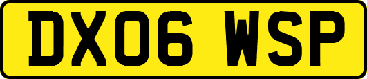 DX06WSP