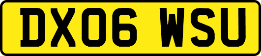 DX06WSU