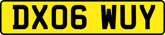 DX06WUY