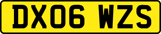 DX06WZS