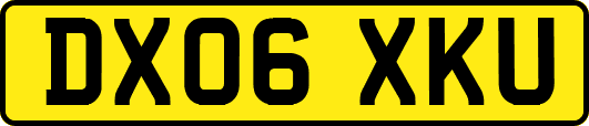 DX06XKU