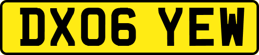 DX06YEW