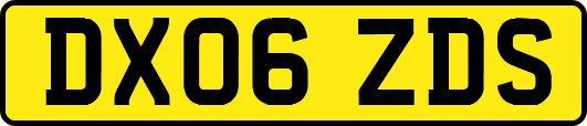 DX06ZDS