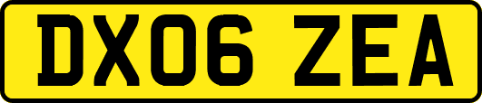 DX06ZEA