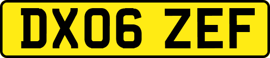 DX06ZEF