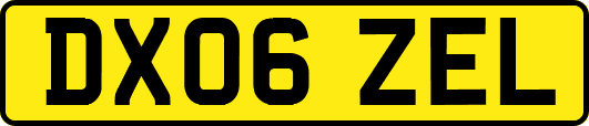 DX06ZEL