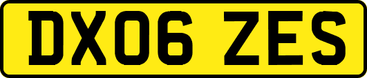 DX06ZES