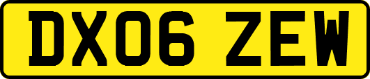 DX06ZEW