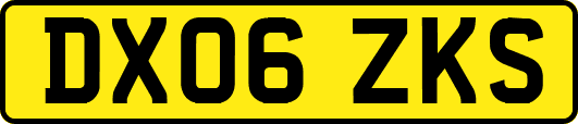 DX06ZKS