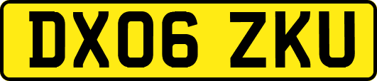 DX06ZKU