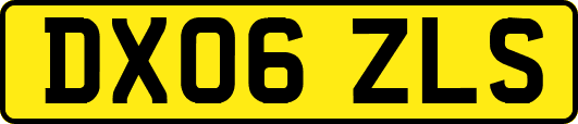 DX06ZLS