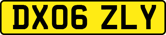 DX06ZLY