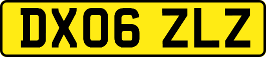DX06ZLZ