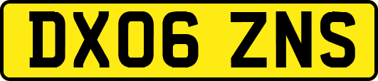 DX06ZNS